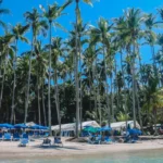 Isla Tortuga Tour - A Day In Paradise